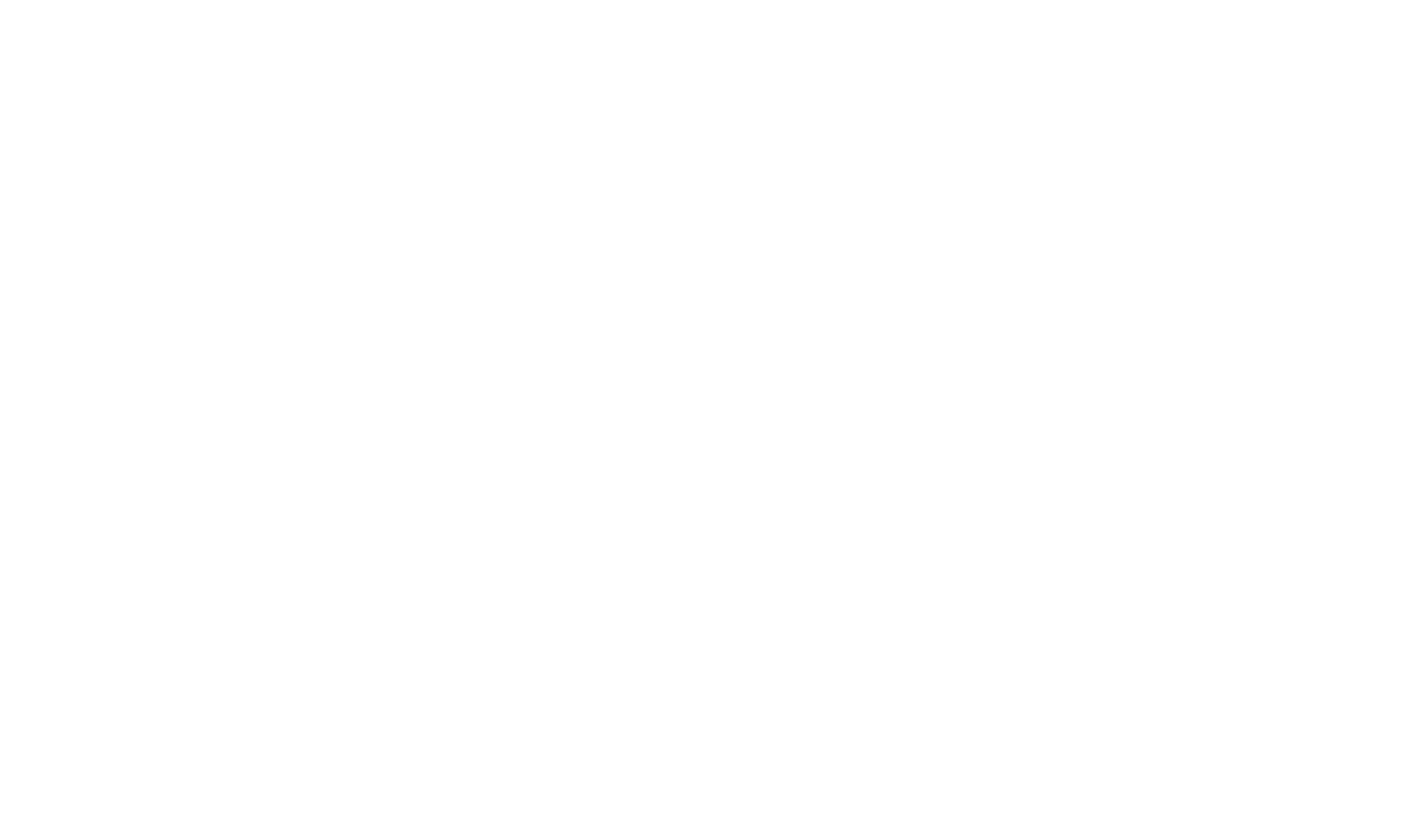 Fusion Flicks Media